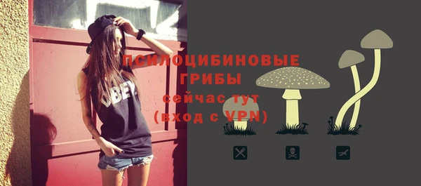 a pvp Алзамай