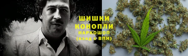 ешки Аркадак